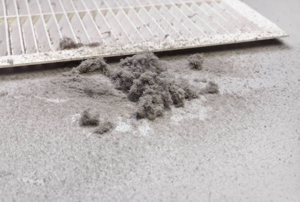 Home Air Vent Cleaning in Willow Grove, PA