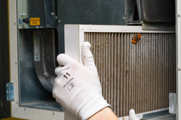 Best Air Duct Cleaning Near Me  in Willow Grove, PA