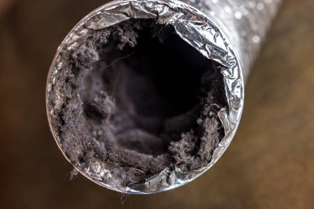 Best Professional Duct Cleaning Services  in Willow Grove, PA